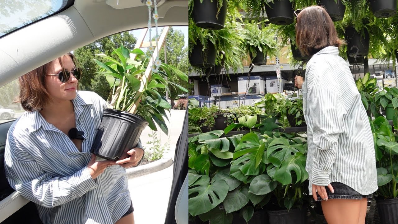Big Box Store Plant shopping & repotting (: