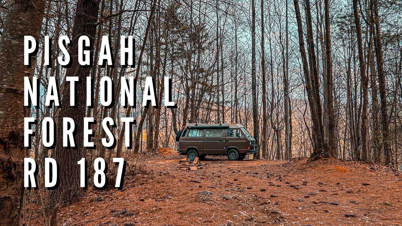 Pisgah National Forestry Road 187 Camping | Vanagon Camping
