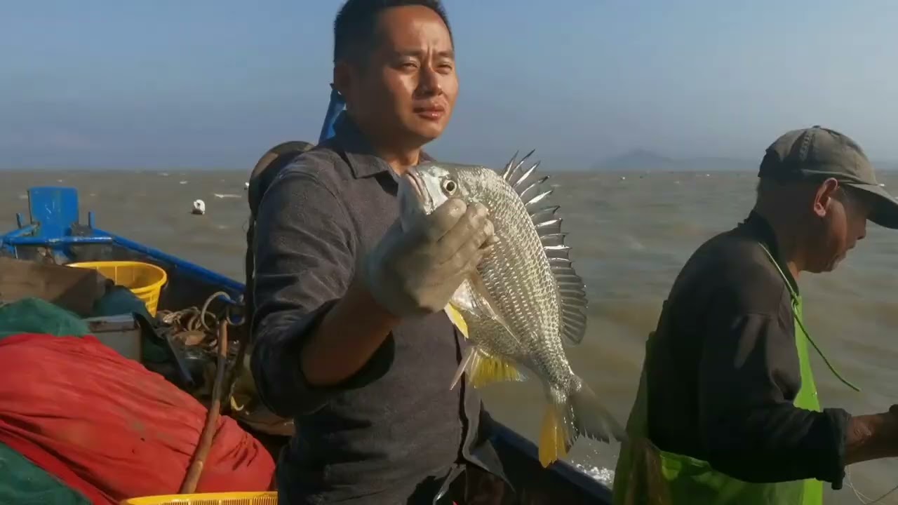 【阿向海钓赶海】跟50年经验的老渔民捕获罕见活带鱼 40斤魔鬼鱼 整船鱼卖了两千多