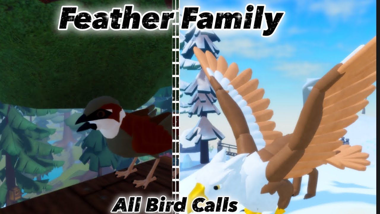 Feather Family All Bird Calls [ Again ]