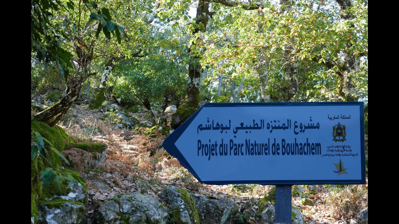 منتزه بوهاشم ، مشروع حلم كبير يتحقق.. Parc Bouhachem Maroc