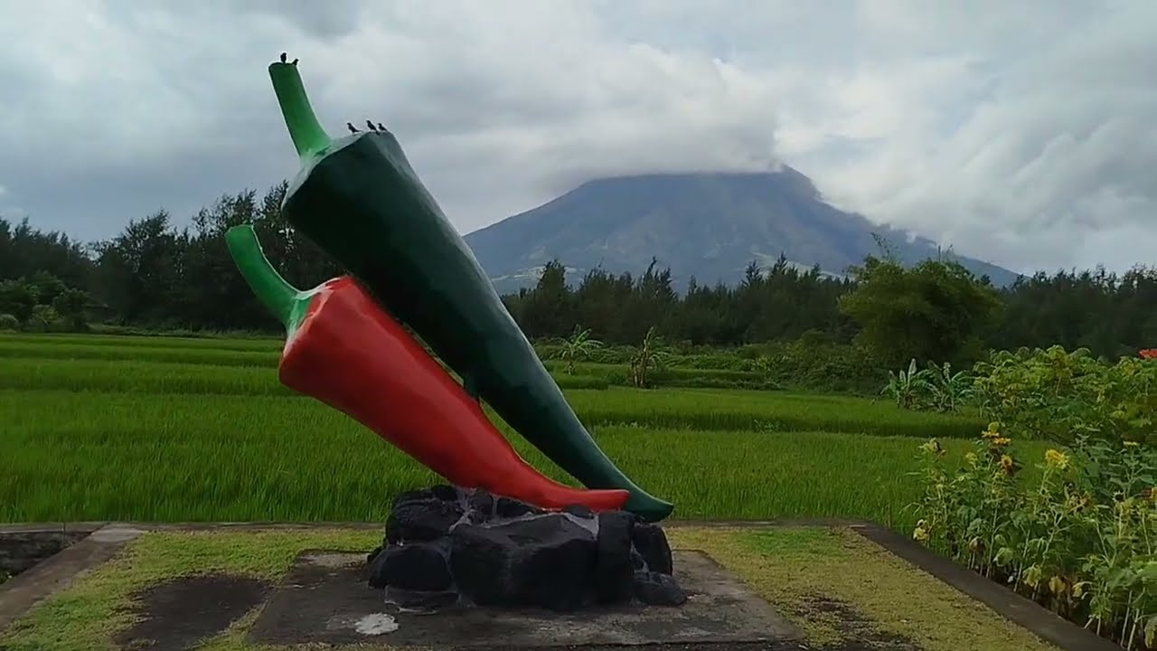 Mayon Volcano Tour
