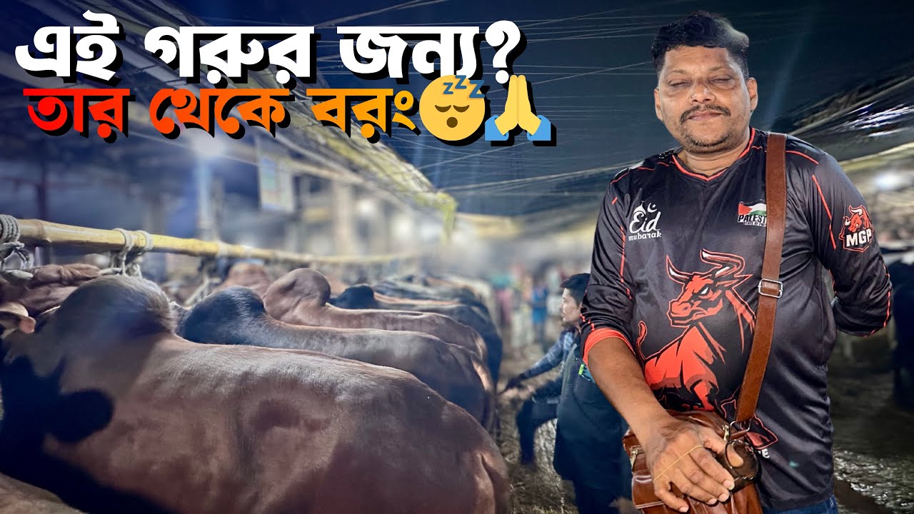 গাবতলী হাটে টানা দরদাম শেষে দুই গরু ডিল! 😳 | Gabtoli Cattle Market