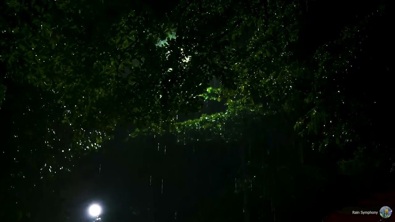 Deep Sleep Night Rain Sounds – Relaxing Rain Ambience to Calm Your Mind and Sleep Better