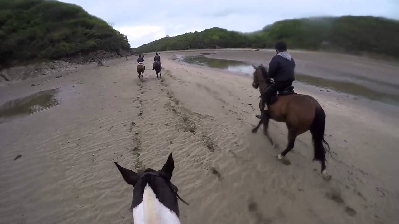 Foxworthy Goes To Flete. Horse riding through forest, jumps and beach gallop.