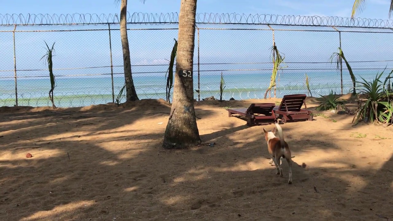 Отель Villa Ocean View 3*, Шри-Ланка, Ваддува, ноябрь 2019