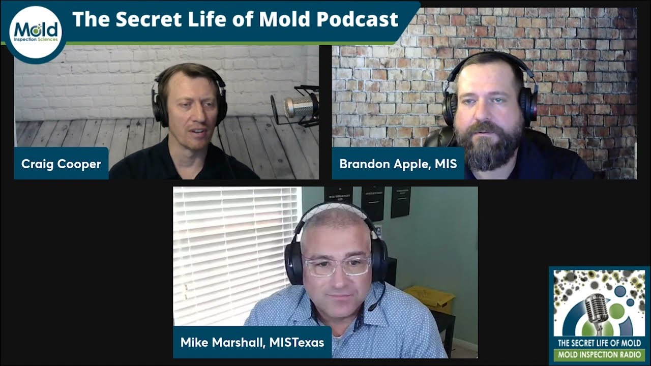 The Power of qPCR Mold Testing &ndash; Mold Sampling Series Part 3