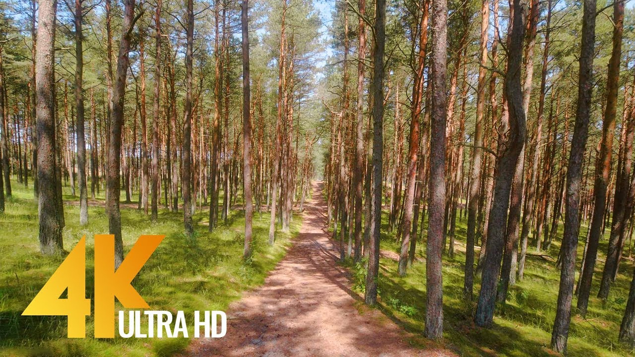 Amazing Nature of Lithuania - 4K Walking tour - Part #1 - Short Preview