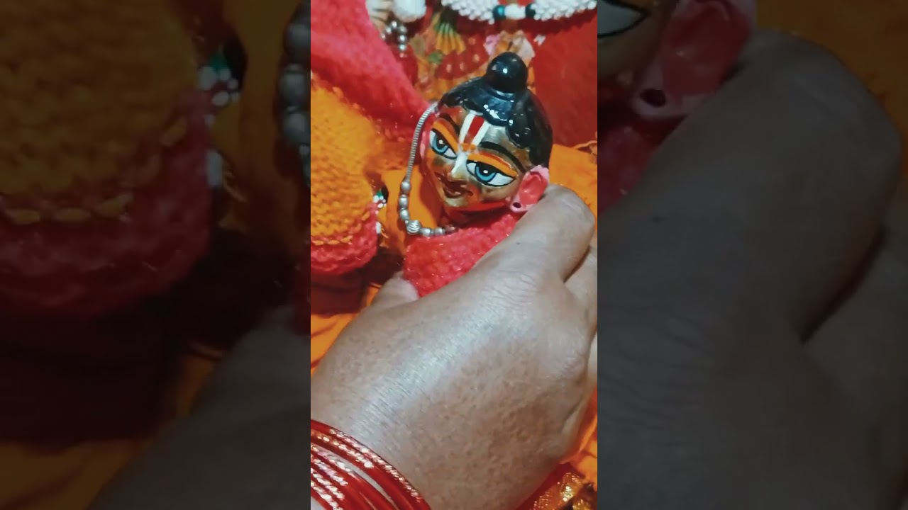 लड्डू गोपाल # vlog #laddugopal