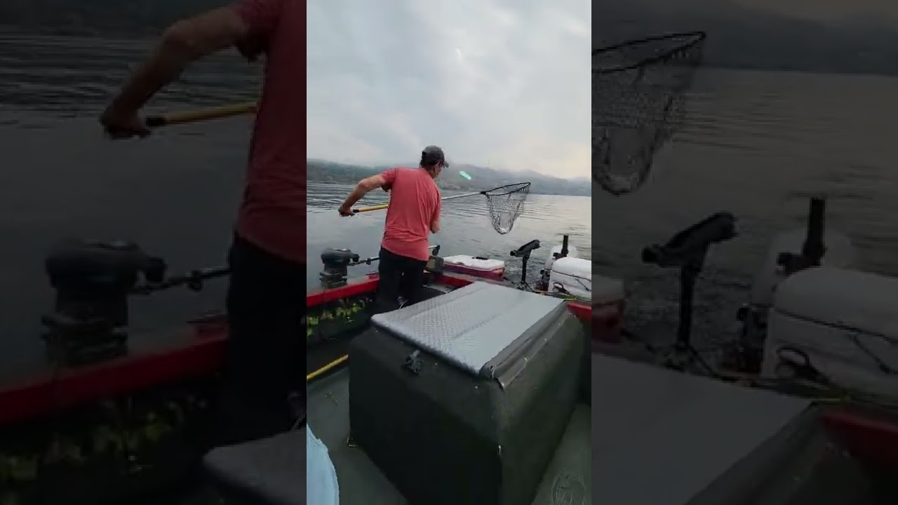Lake Chelan Fishing