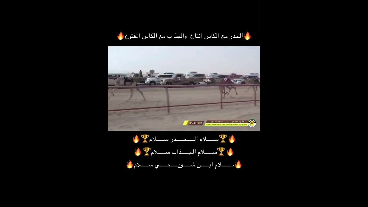 كاسين المفتوح والانتاج الحذر الجذاب لسيد فالح فهد الهاجري