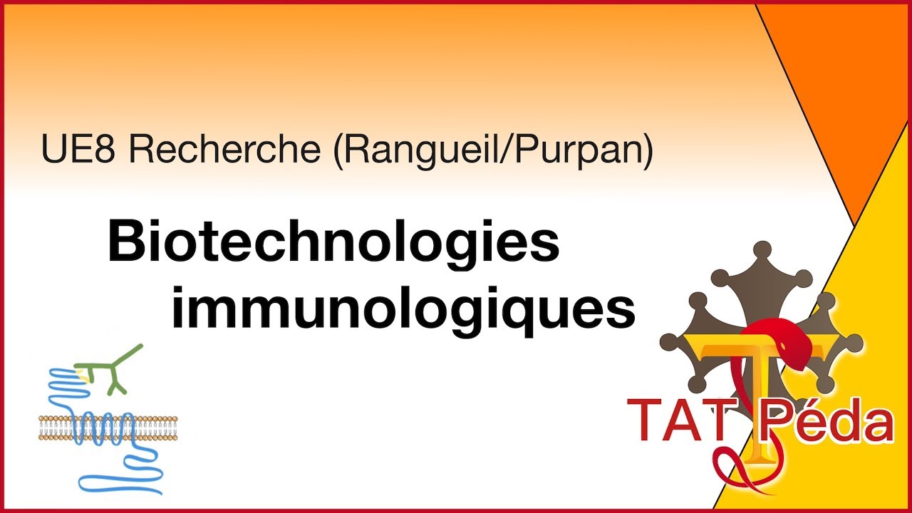 TAT Pédagogie - #4 Biotechnologies immunologiques (Recherche Rangueil/Purpan)