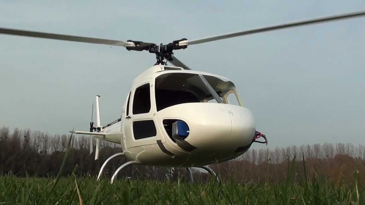 ELECTRIC ECUREUIL VARIO GIANT SCALE - Francis Paduwat -Must see