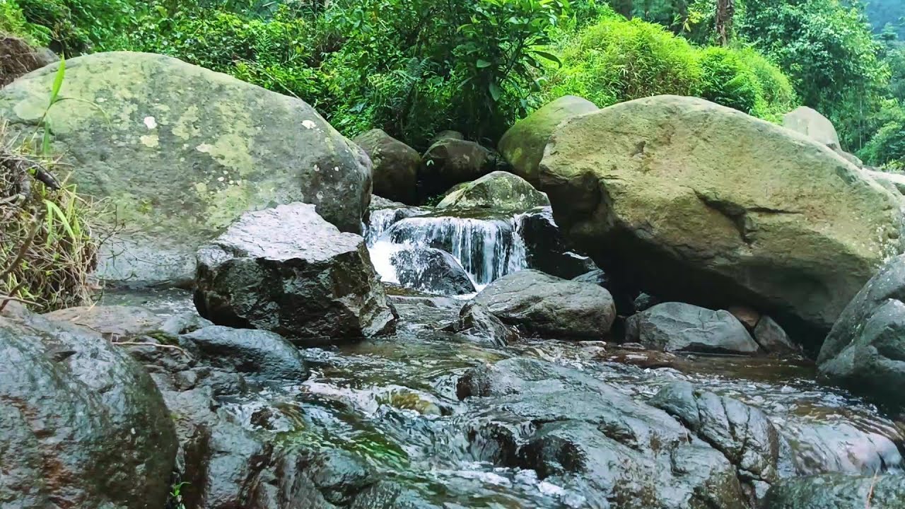 Forest River Flowing Sound | Water Sounds No Birds | River White Noise for Sleep and Relaxation