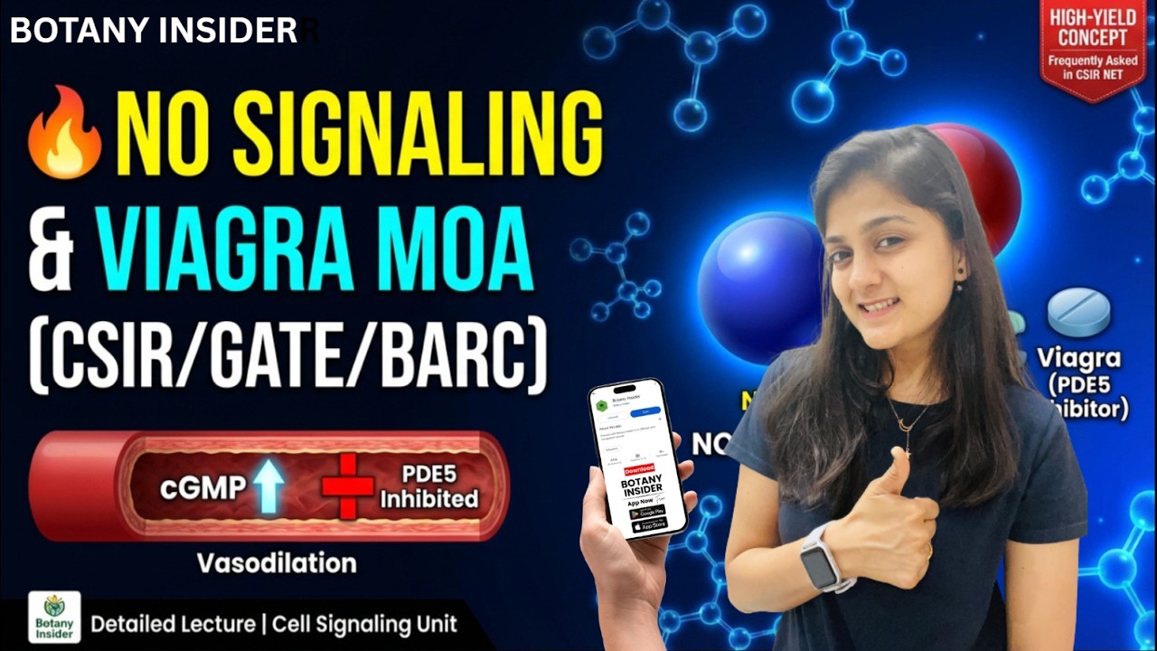 How Viagra REALLY Works? | NO Signaling  Pathway Explained  CSIR NET & GATE