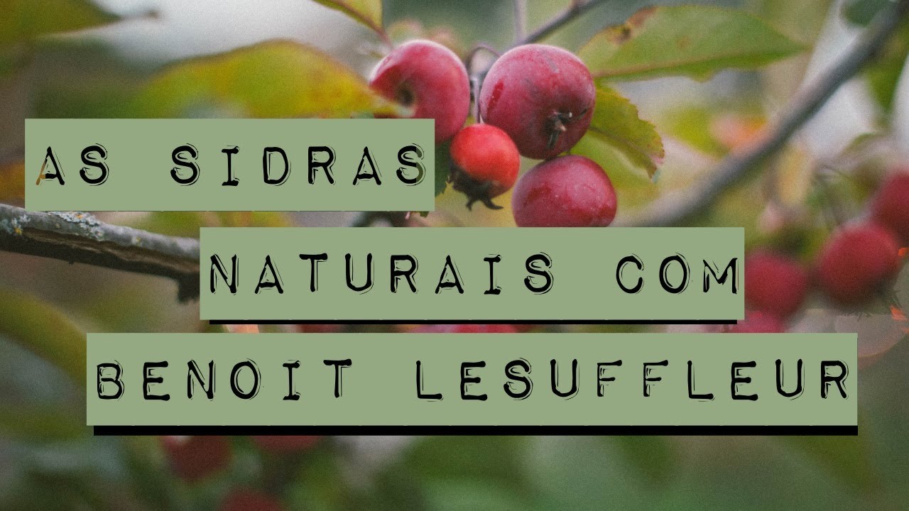 As sidras da Domaine Lesuffleur