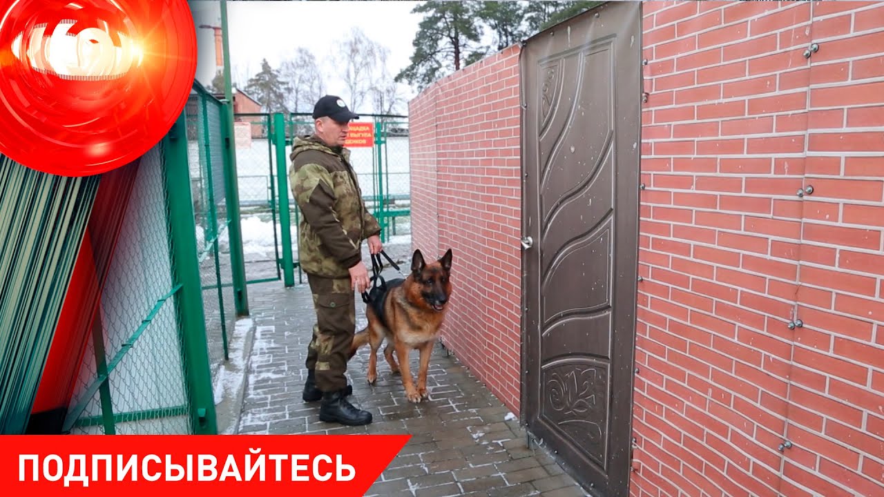 Премьера программы: «Тайны профессии». Раскрываем секреты. Развенчиваем мифы. Показываем впервые!