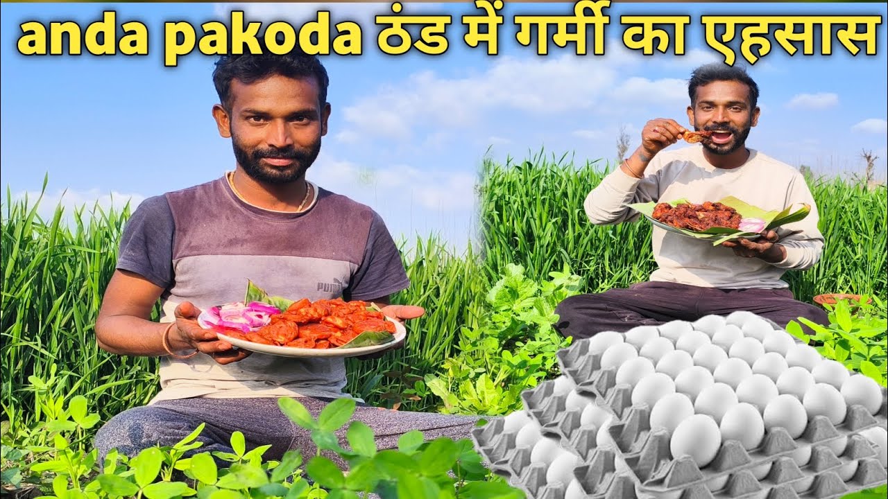 Anda pakoda test yessa ki bhul nahi paoge #desikabab #andapakoda #andarecipe #eggpakodarecipe  