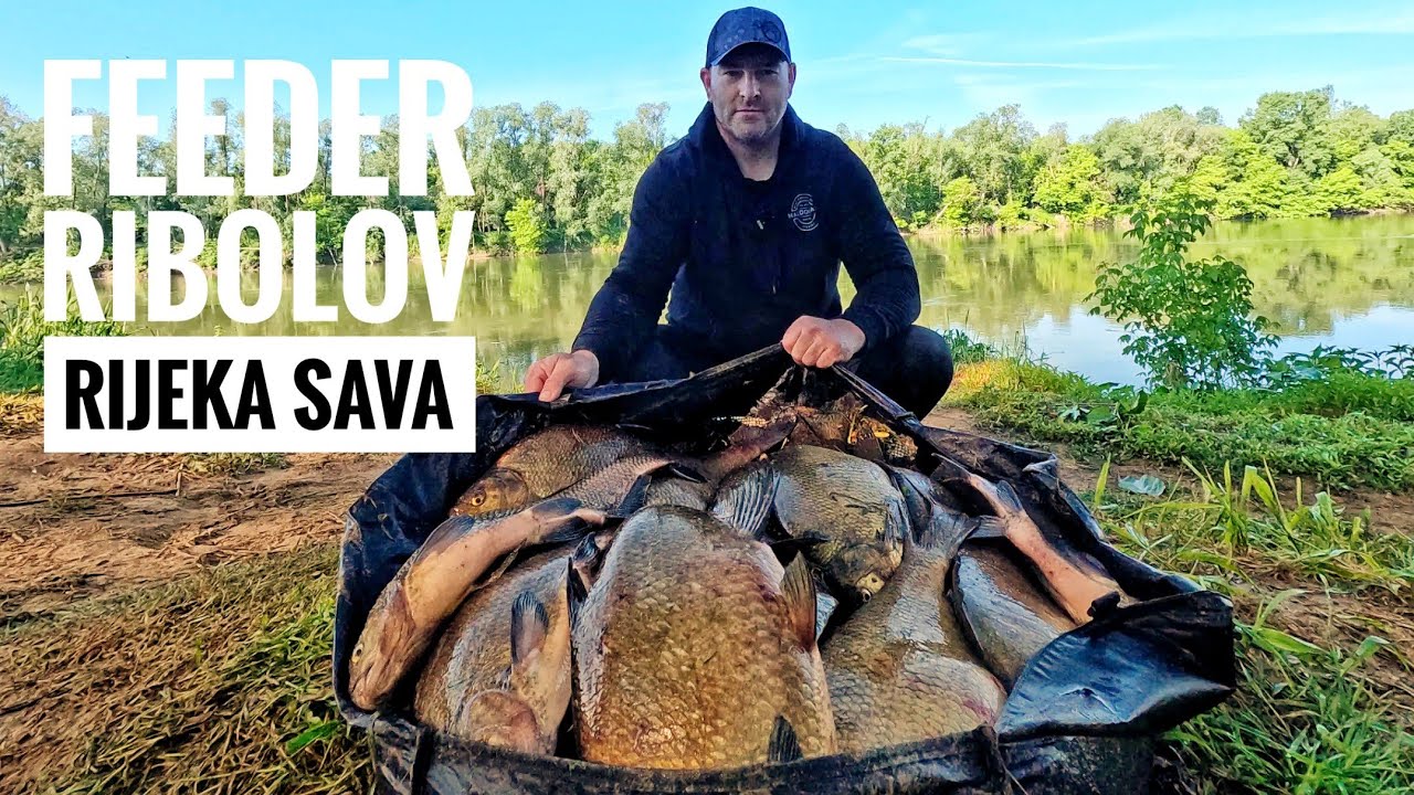 Feeder ribolov Sava Amir Taletovic pecanje feeder tehnikom deverike#pecanje #breamfishing#haldorado