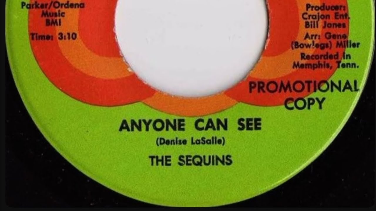 The Sequins - Anyone Can See 432hz