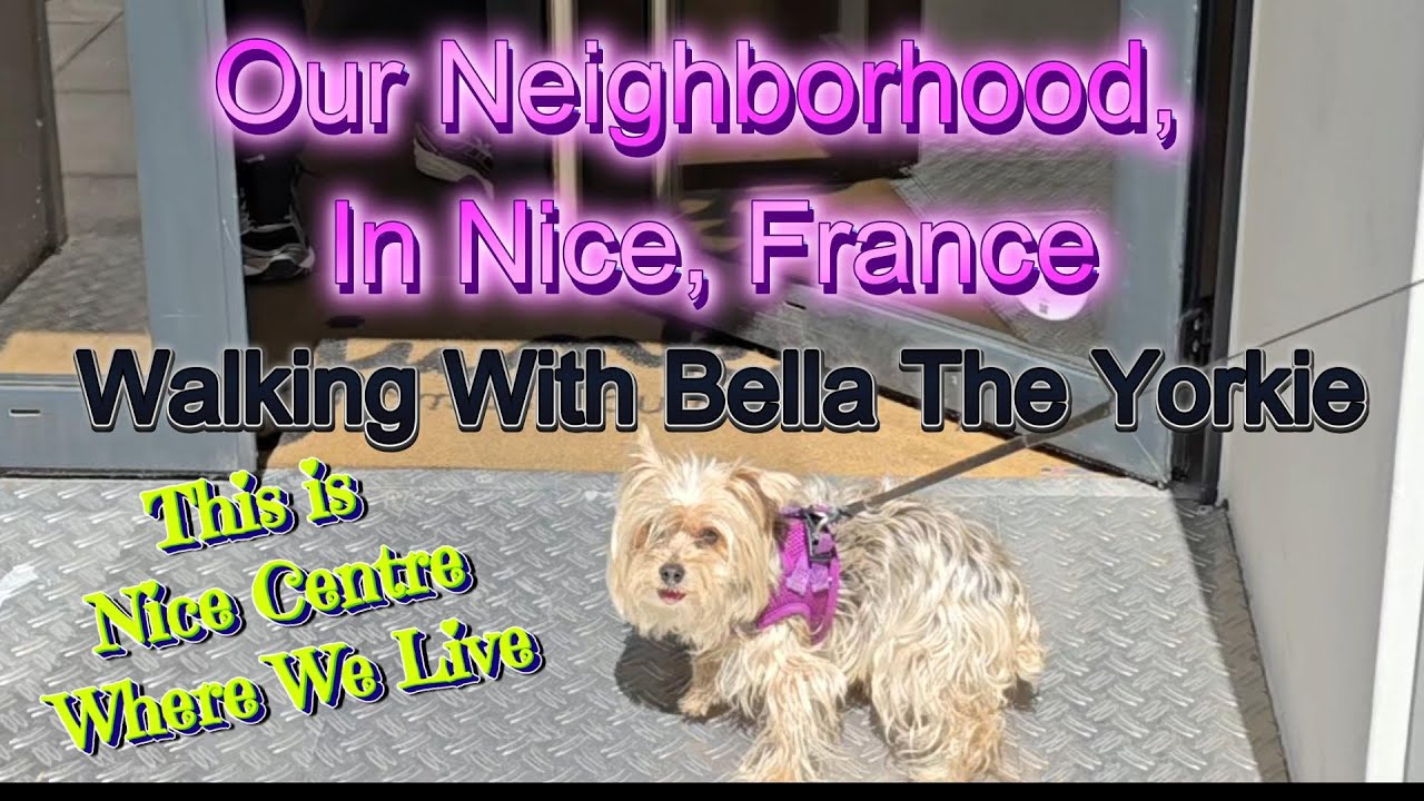 LITTLE YORKIE SHOWS US HER FAVORITE WALKING SPOTS, IN OUR NEIGHBORHOOD
