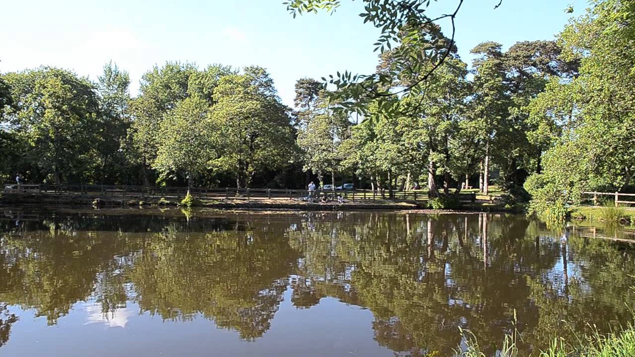WELLINGTON BASIN, CORAMS LANE, WELLINGTON, SOMERSET
