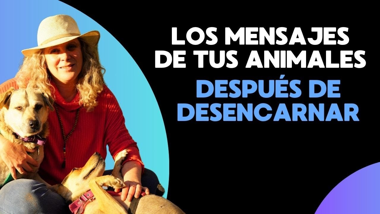 Los mensajes de tus animales después de desencarnar, por Verónica Kenigstein