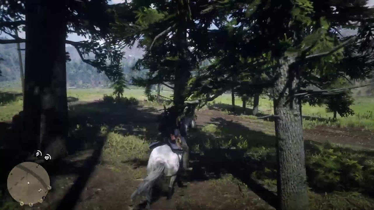 Red Dead Redemption 2