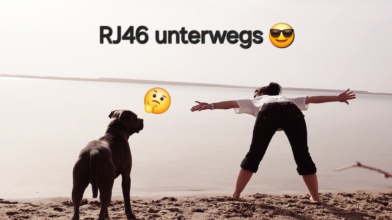 #V11 Reisen in Sachsen / Brandenburg mit Wohnmobil Ford / Camping / Vanlife mit Hund /viel Spaß ...
