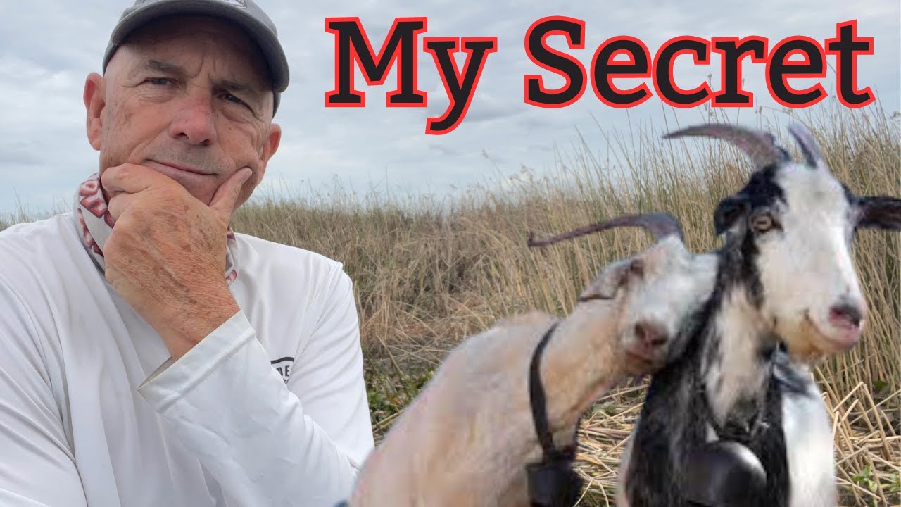 My Secret, The Z-Man Goat, It's Worth Remembering.