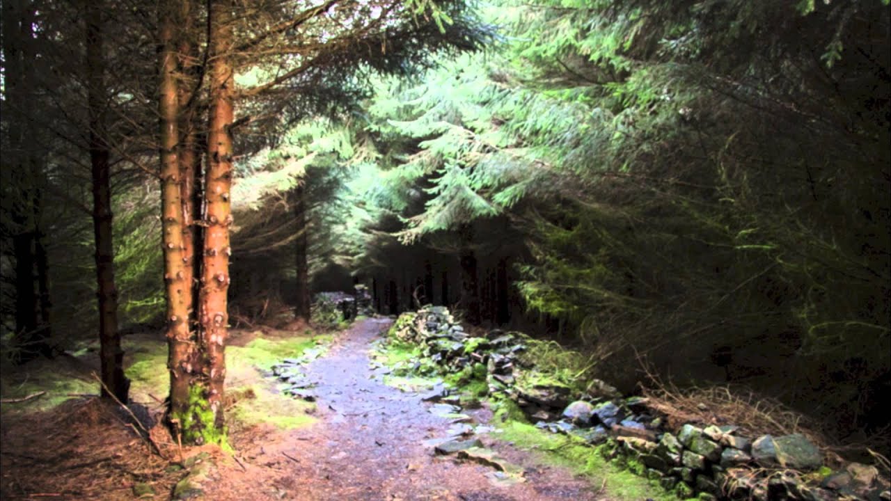 Dirt-Trax Cockhill MTB - Teaser Trailer