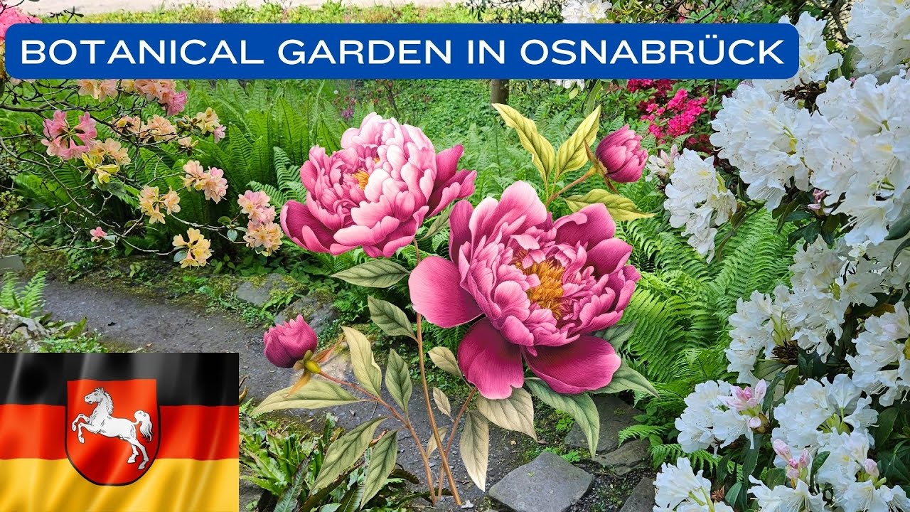 Tour of the Botanical Garden in Osnabrück | Travel to Germany