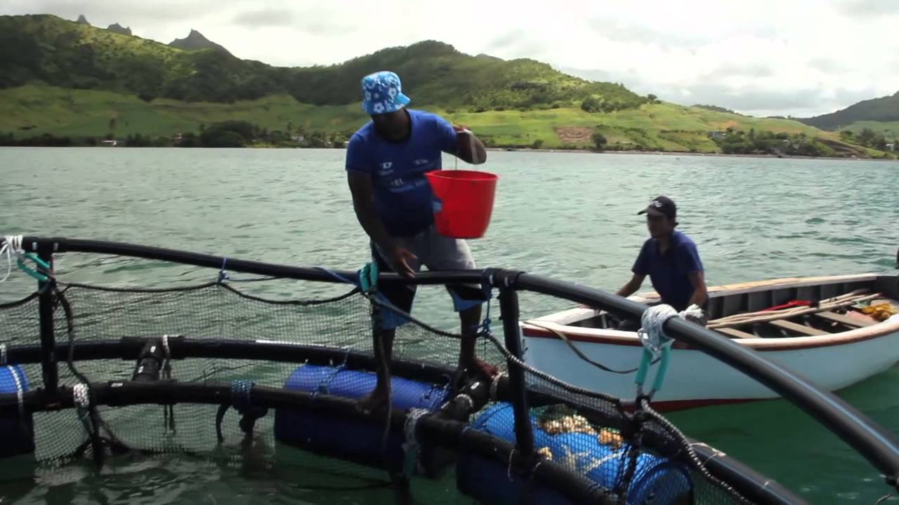 Construction de cages, Bonnes Pratiques de Fabrication et Valeur ajoutée dans la mariculture