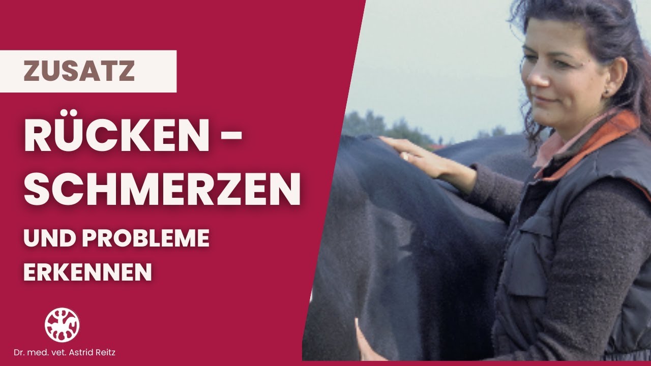 Zusatz: (Rücken-) Probleme und Schmerzen beim Pferd erkennen - so geht´s