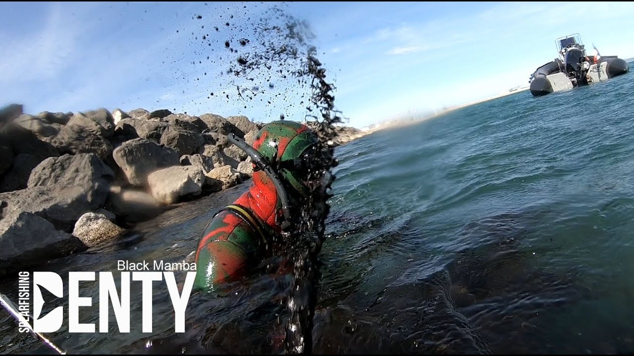 Tutoriel de Chasse sous-marine aux seiches en digues.