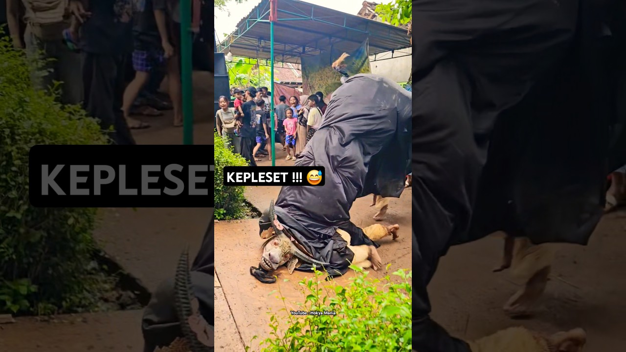 Banteng Kepleset sampai jatuh , Ini sakit banget sih 😅 #videolucu #kepleset #barongan #bantengan
