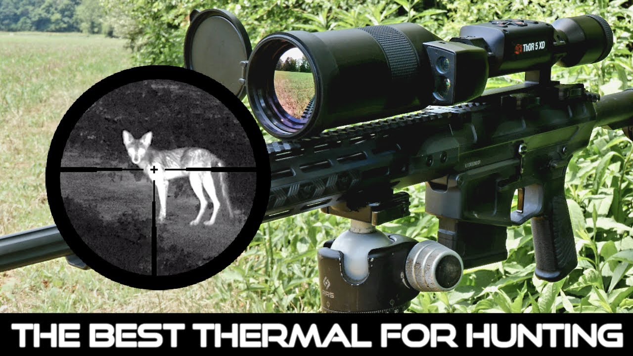 Long Range Hunting at NIGHT? New 1280 High Res Smart Thermal Scope Hit Every Target In Sight | 2024