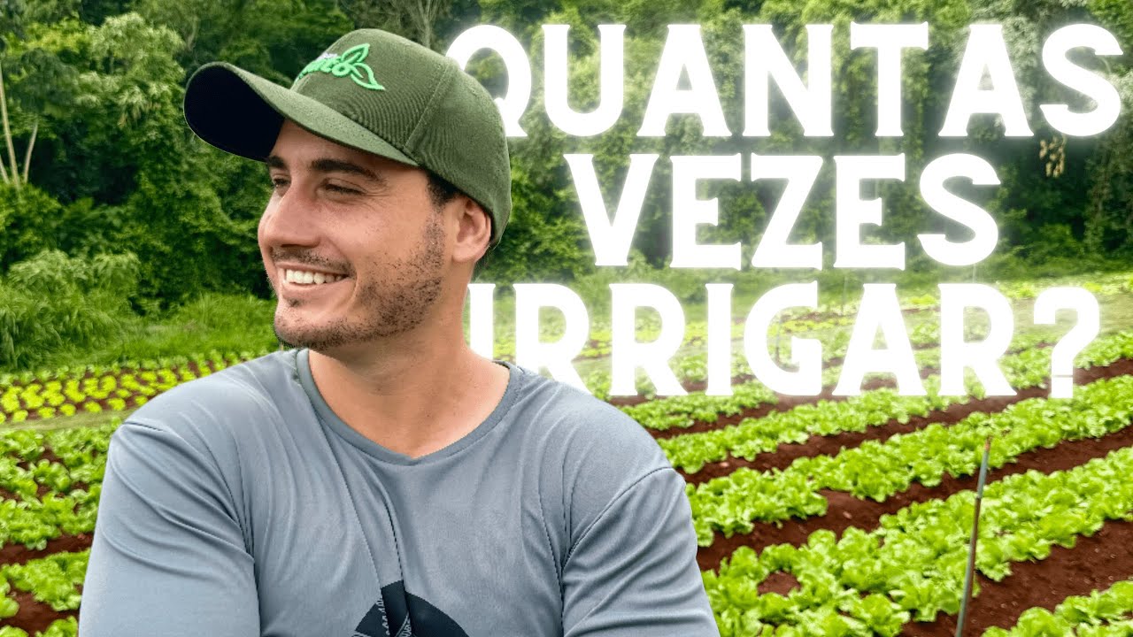 COMO IRRIGAR A HORTA - NOSSOS SISTEMAS DE IRRIGAÇÃO