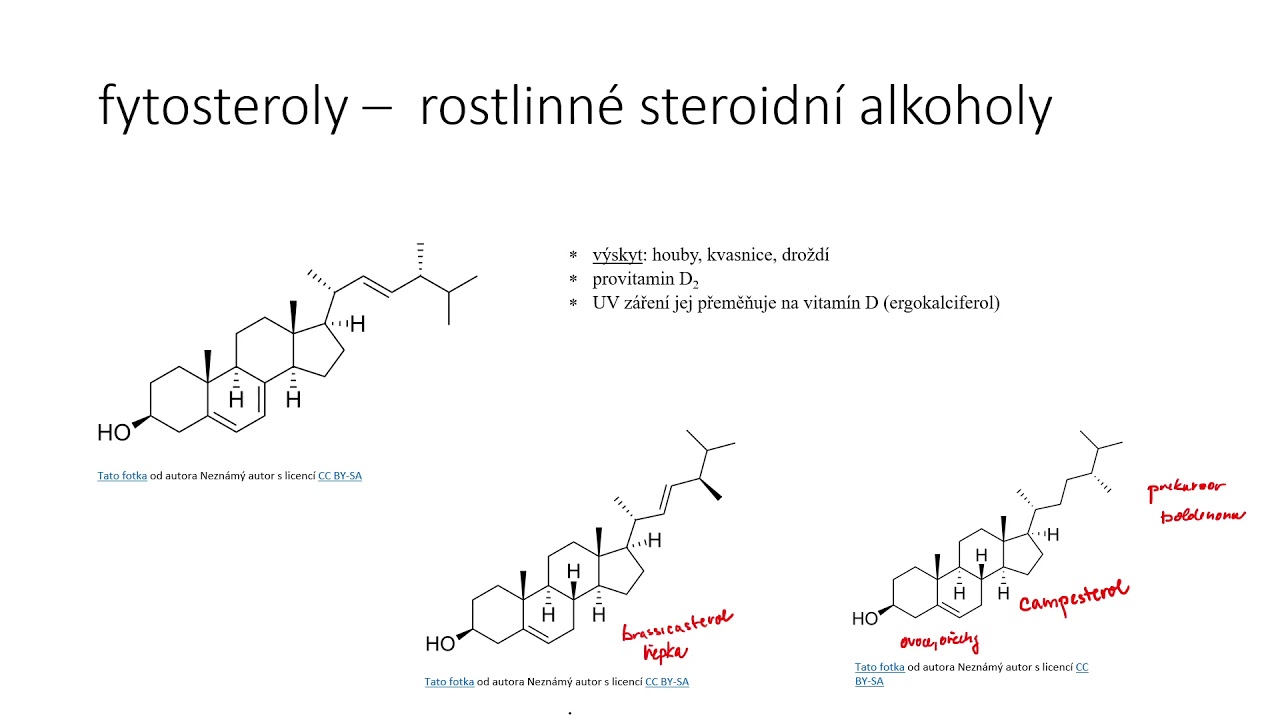 Izoprenoidy - steroidy