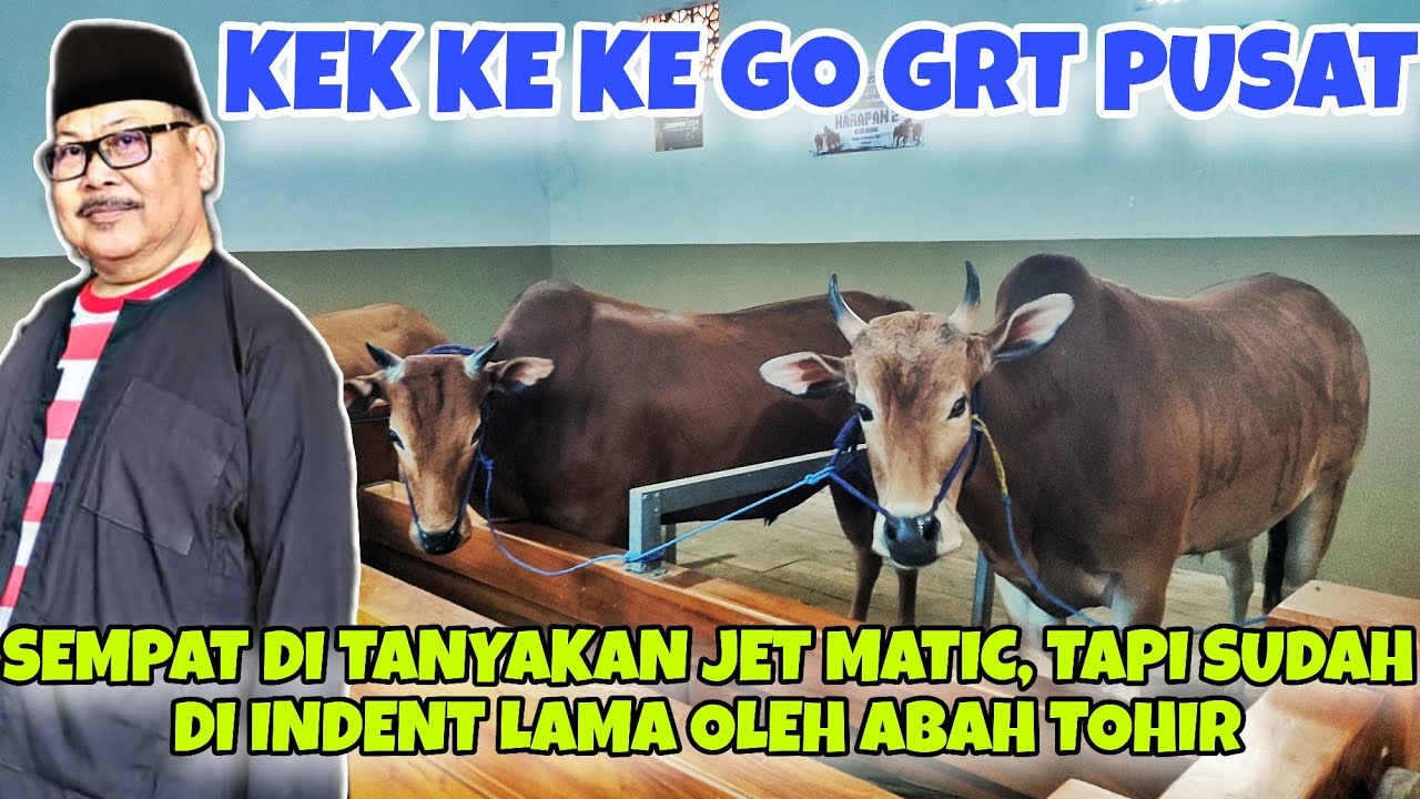 KEK KE KEK TRANSFER FANTASTIS KE GRT PUSAT || ABAH TOHIR BELANJA BESAR BESARAN MENUJU PIALA PRESIDEN