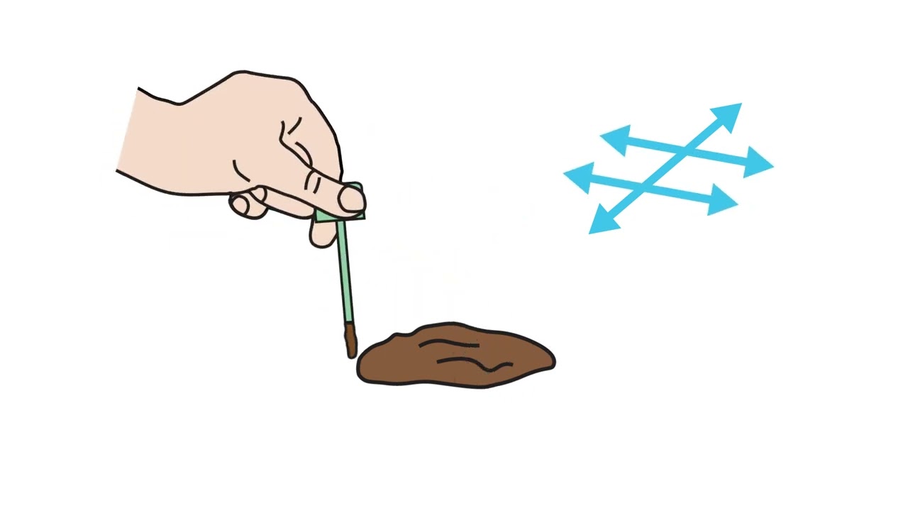 Fimlab suolistosy&ouml;v&auml;n seulonta &ndash; n&auml;in otat n&auml;ytteen.