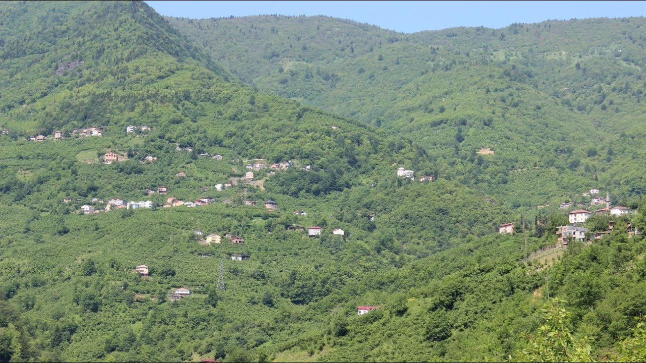 Araklı Turnalı (Os) Köyü Tanıtım Videosu