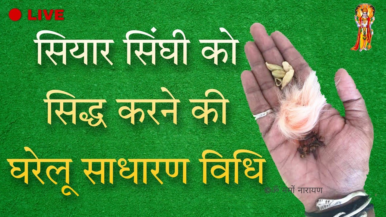 सियार सिंगी में है कई प्रकार की शक्तिया , जाने कैसे करते है इसको सिद्ध| क्या होती है गीदड़ सिंघी ?