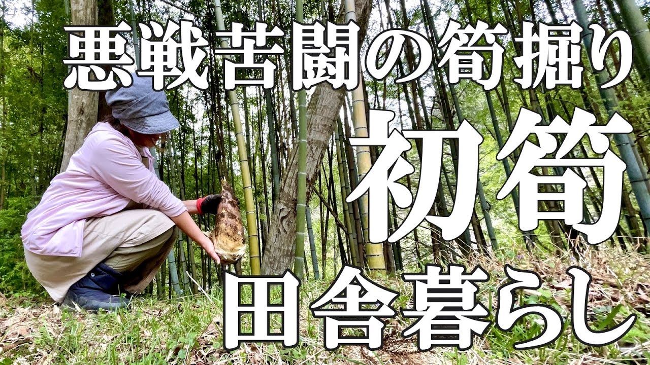 【タケノコ掘り】たけのこを掘りBLUETTIポータブル電源で筍ご飯を炊く。たけのこのアク抜き。自然豊かな山奥暮らしの日々｜村暮らし｜移住｜料理【標高800mの田舎暮らし】