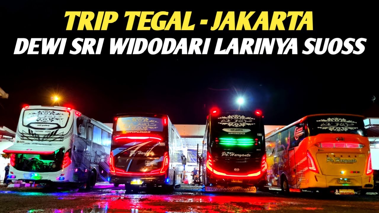 DI SALIP DEWI SRI WIDODARI || LARINYA SUOSS TENAN, TRIP TEGAL - JAKARTA NAIK Po. HARYANTO