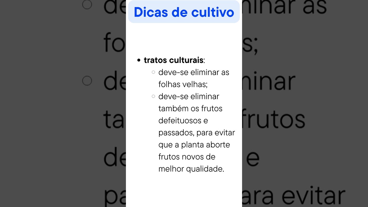 Chuchu - dicas de cultivo