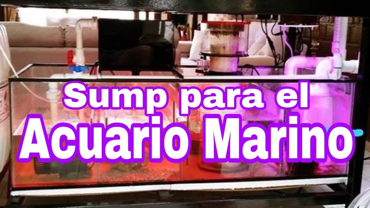 El sump para el acuario marino