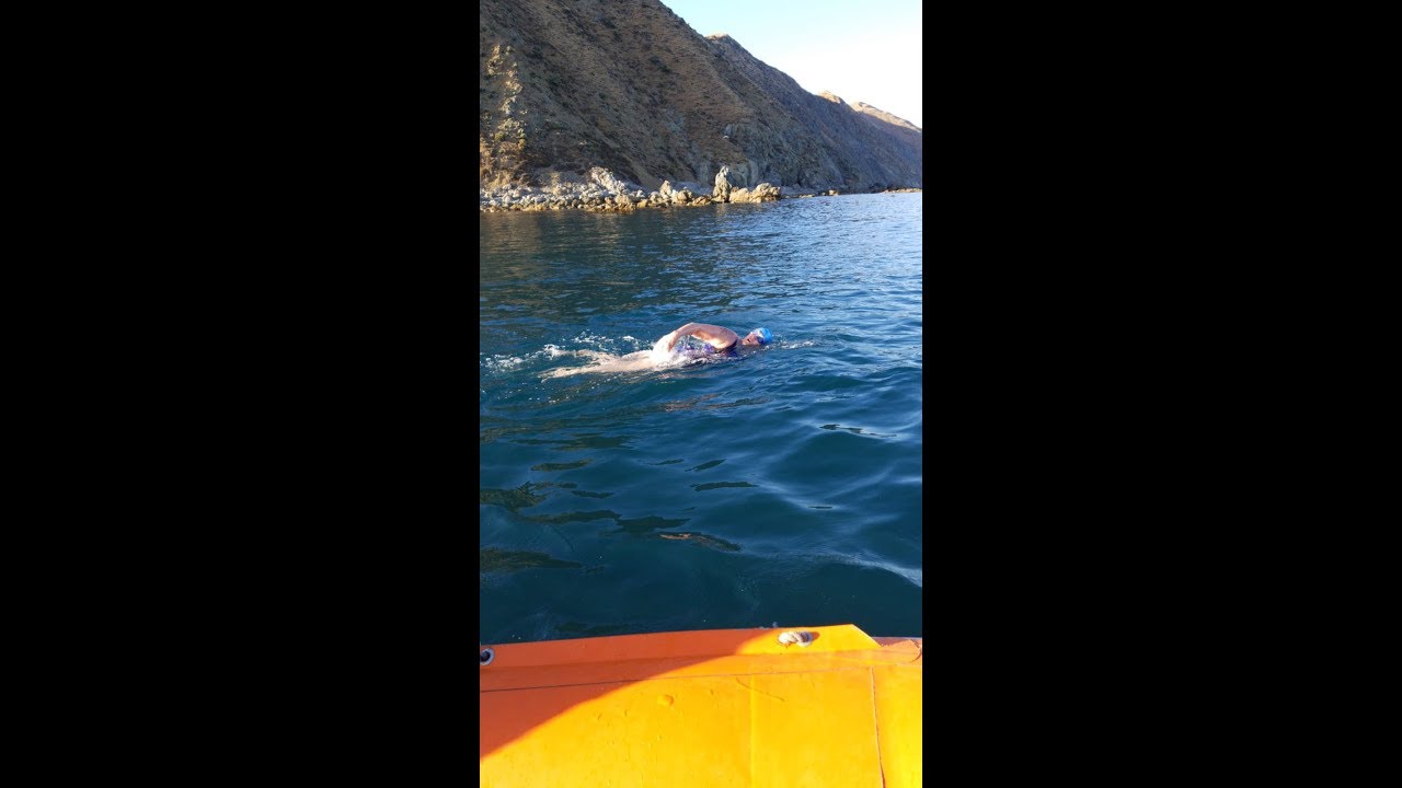 2019 COOK STRAIT SWIM