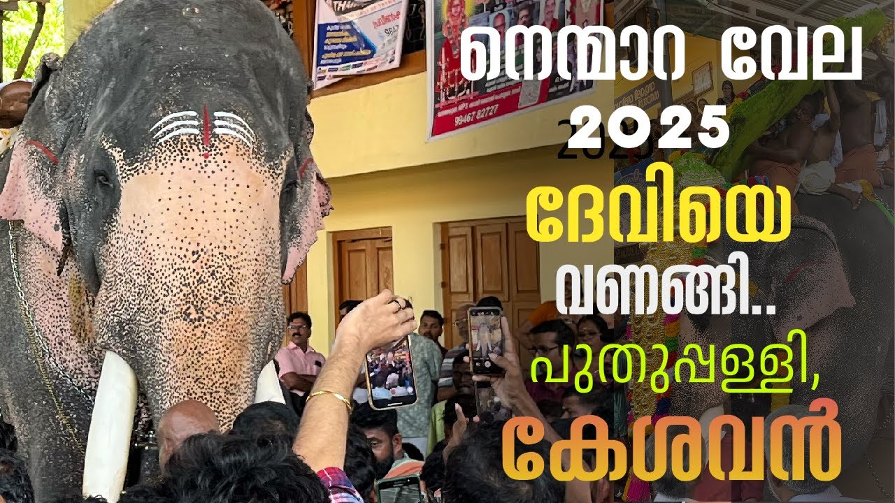 NEMMARA VELA 2025.ദേവിയെ വണങ്ങി പുതുപ്പള്ളി കേശവൻ 🙏🙏🙏@KVNEMMARA 