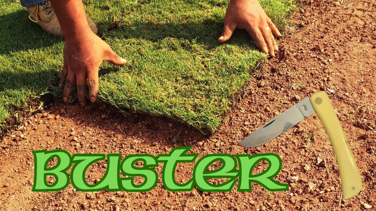 Нож Case: SOD BUSTER: история и характеристики